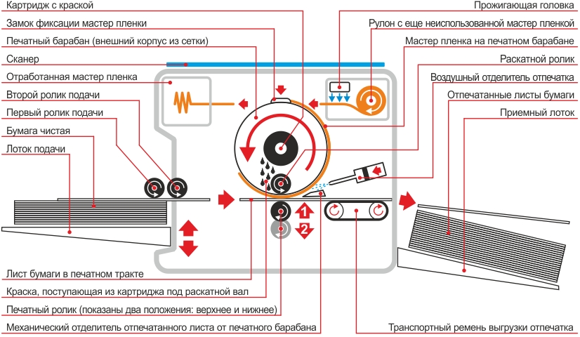 Схема работы цифрового дубликатора - ризографа